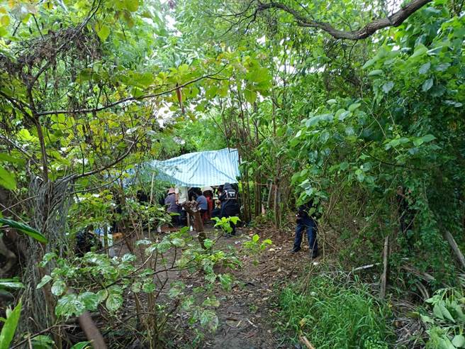 赌场藏身在大排水沟旁的一处树丛内，因下雨搭建帆布遮雨。（读者提供／程炳璋台南传真）