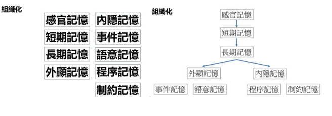 将资料（图右）变成组织画（图左），更容易记忆。（图片来源 / 谢伯让、康健杂志提供）