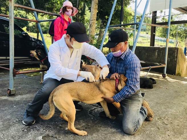 嘉县家畜所与嘉义大学合作，在梅雨季前完成山区10场犬猫狂犬病注射活动。（嘉义县政府提供／张亦惠嘉县传真）
