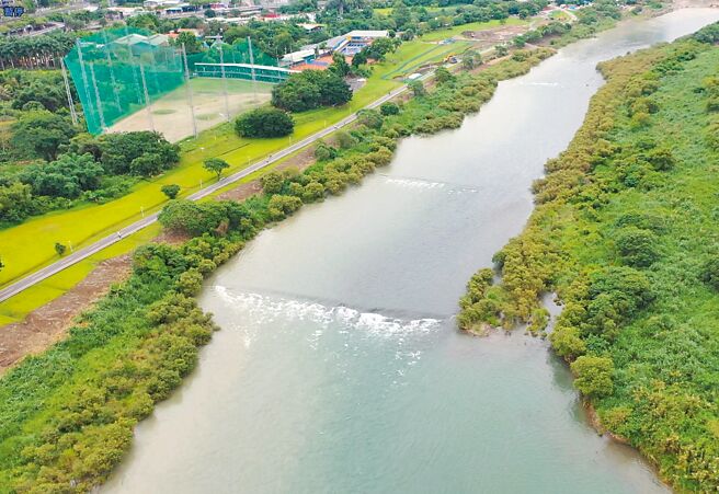 新北市水利局在碧潭堰下游發現香魚，顯見河川生態已悄悄的回來了。（新北市水利局提供／陳慰慈新北傳真）
