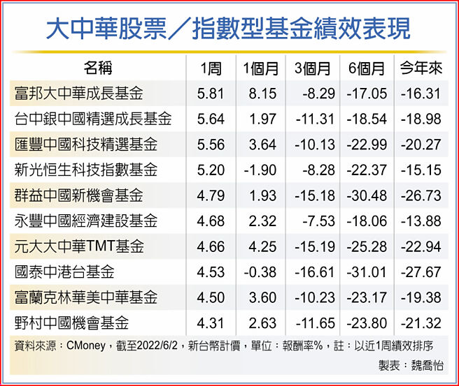 大中华股票／指数型基金绩效表现