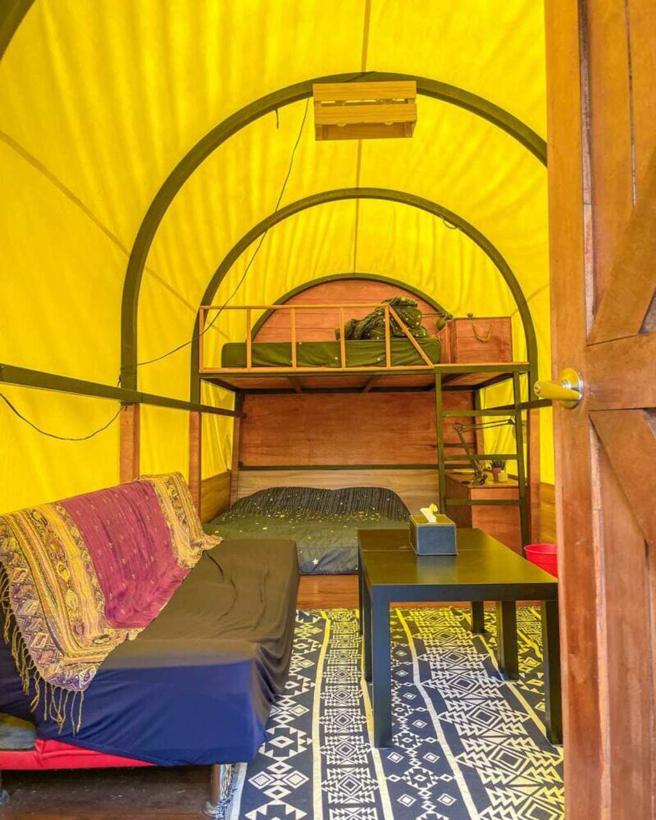 图-马车帐/IG@tian_0718