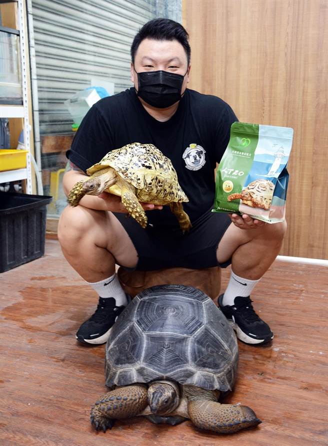 王安静嗅到潜力商机，着手研发饲料，抢占陆龟宠物市场。（林和生摄）