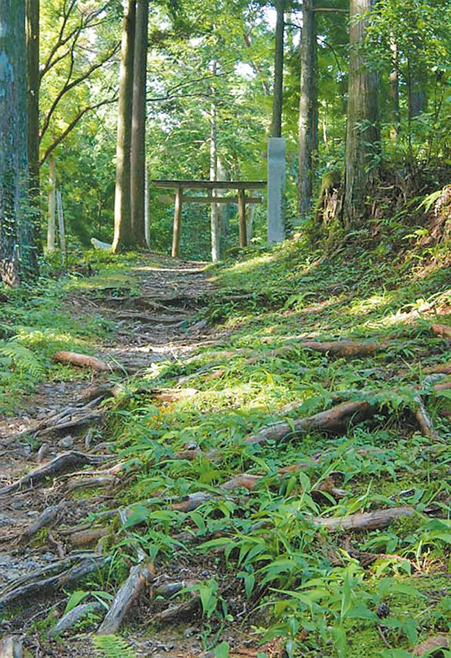 熊野古道的「发心门王子」是中边路的精华路段。（飞达旅行社提供）