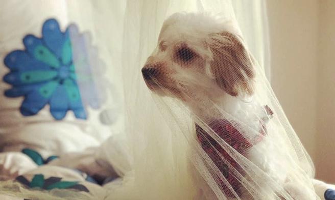 藺奕》我跟湯姆・克魯斯很像（照片來源：作者提供）