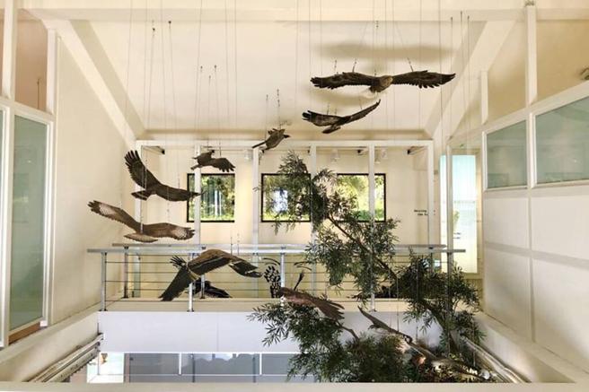 观音山猛禽展示馆。　图：北海岸及观音山国家风景区管理处／提供
