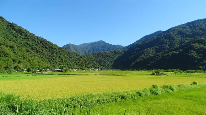 花莲卓溪南安部落近年积极採有机农法耕作稻米，并找回品种多样的传统作物「Tina（布农语称呼女性长辈」豆豆，鑑此，花莲县政府今年规画在该处设置东部首座原住民族有机农业促进区，盼能协助地方永续发展。（摘自玉管处官方网站）
