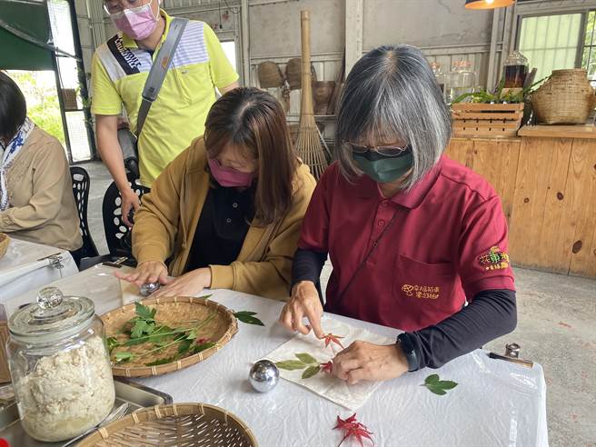 台東縣池上商家推出特色遊程，帶領遊客認識阿美族傳統野菜，並拓印在方巾上。（蔡旻妤攝）