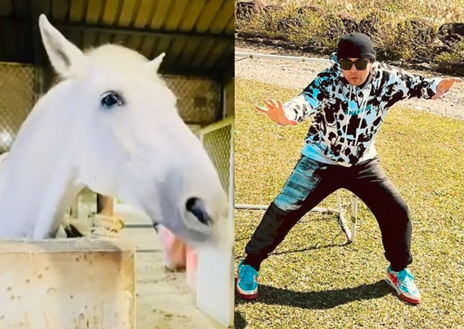周杰伦的《本草纲目》连白马都跟着打节拍，网友笑亏是「驯马之歌」。（图／取自周杰伦IG）