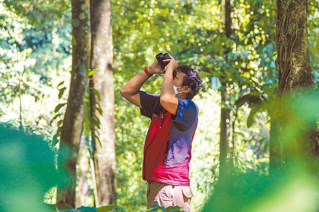 印尼限售雨林碳权图╱路透