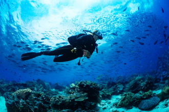 美女醫揭蘭嶼潛水2危機 三年來溺水存活率近0％