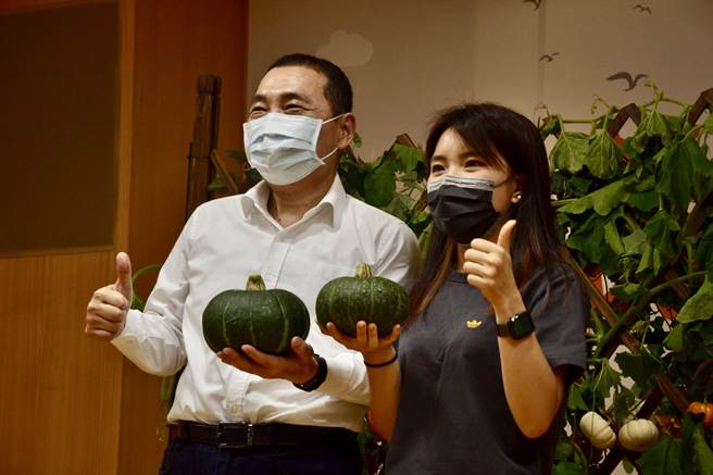 新北市农业局今举行「莳瓜好日子-健康农来」记者会推广南瓜，新北市长侯友宜更化身南瓜大使，现身示范摘採推广。（蔡雯如摄）