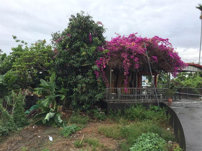 香山社区土地就因閒置10余年，造成杂乱不堪，在居民的合作下，解决用路人安全问题，创造休憩空建。（县府提供／吴建辉彰化传真）