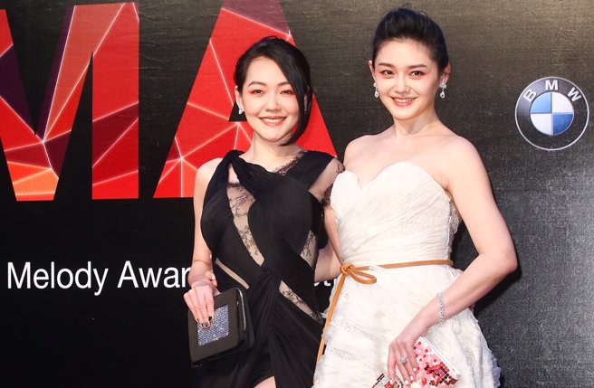 大S过去在《康熙来了》认了曾罹患忧郁症，因此併发厌食症还引发癫痫，妹妹小S也证实此事为真。(中时资料照片)