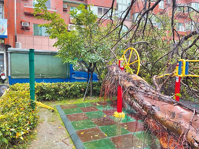 台北市連日大雨，路樹倒塌意外事件頻傳，台北市議員鍾佩玲質疑，連續2周發生4起樹倒意外頻率實在過高，樹倒不僅砸中公車和民宅，還造成車輛大回堵。（鍾佩玲研究室提供／黃婉婷台北傳真）
