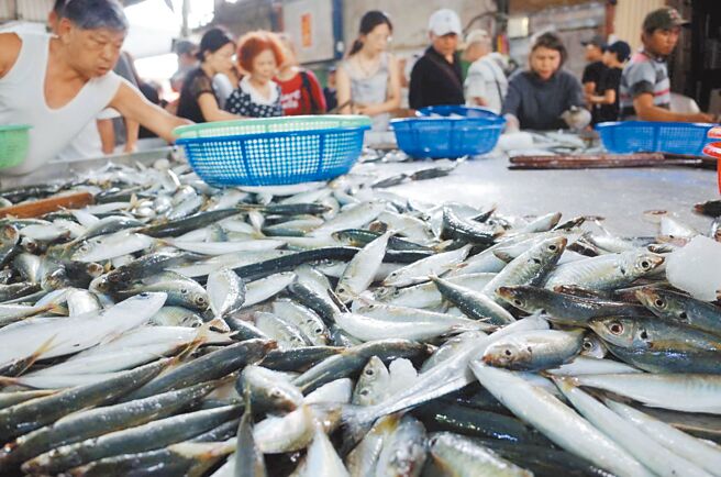 新竹海山渔港最有名的定置网渔业深具在地特色，每日最尚青的现捞渔获一上岸就被涌入的游客抢购一空。（新竹市政府提供／陈育贤新竹传真）
