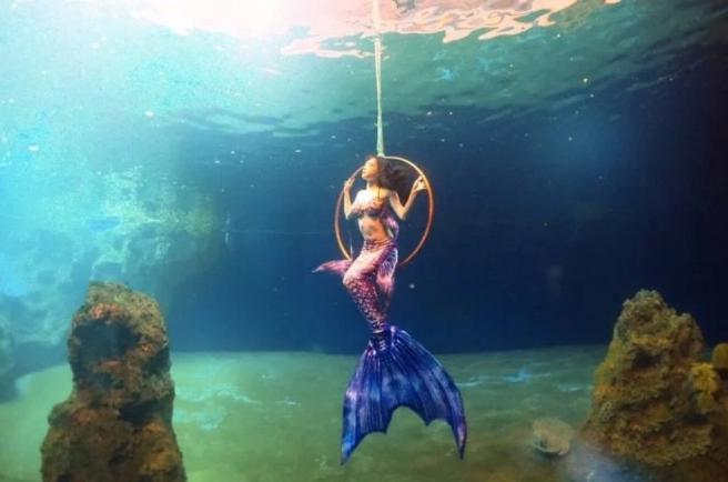 职业美人鱼曝潜水甘苦谈。(图/翻摄自Dcard)
