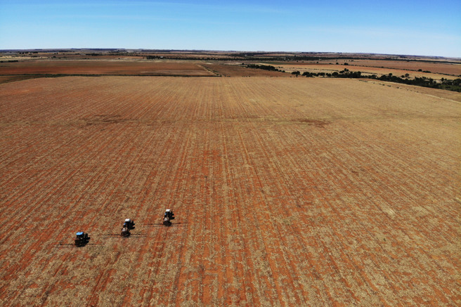 俄烏戰爭引發肥料短缺，外媒爆美國正悄悄通知企業多買一點肥料。（示意圖／美聯社）