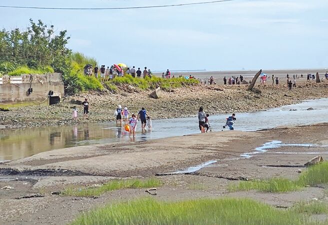 大安沙雕音樂祭登場，少數民眾因貪圖方便，冒險從北汕溪涉水往來南北兩園。（民眾提供／陳淑娥台中傳真）