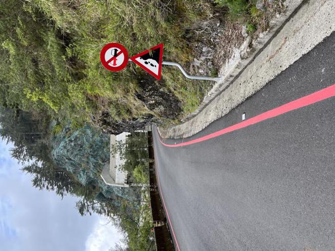 南横通车以来，受伤事故以大型重机居多，肇事主因多为未靠道路右侧行驶，其次为未保持安全距离。六龟警分局与公路总局在易肇事地点增设靠右行驶、前有弯路、开头灯、易落石路段等警示牌面与标志，提醒用路人注意道路状况。（图/ 中央社）