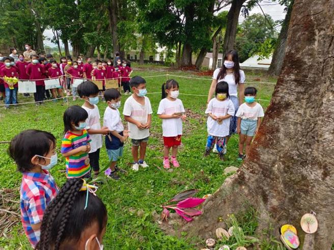 台東縣永安國小72年前創校時種下20多棵鳳凰木，最後1棵也在日前枯死，學校15日舉辦畢業典禮和及老樹追思生命教育，畢業典禮後讓學生利用自然素材「樹片」寫下感謝及祝福。（圖/ 中央社）
