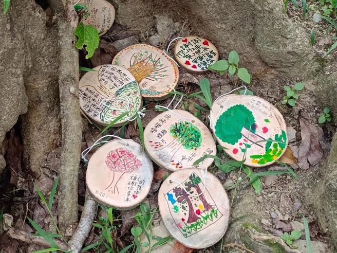 台東縣永安國小最後1棵鳳凰木15日陪著學生一起畢業，互相道別，小朋友用樹片寫下對老樹的不捨和祝福。（圖/ 中央社）
