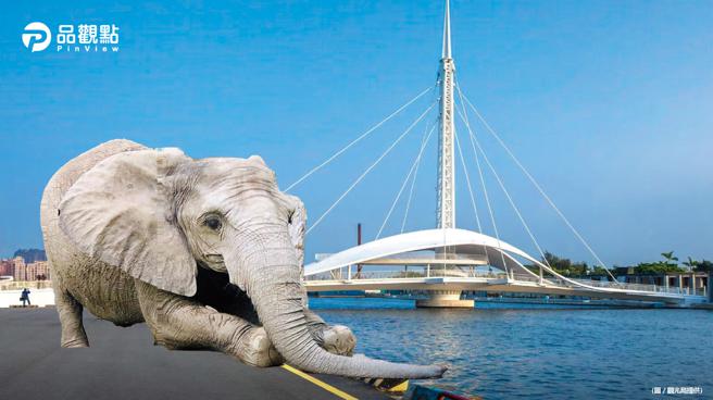 品观点｜整座城市都是我的动物园 寿山动物萌明星逛大街（图/品观点提供）