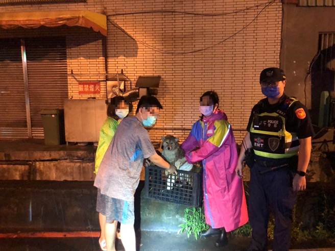 员警爬下大排涉水将「乐乐」救起，让牠和饲主一家团圆。（雾峰警分局提供／冯惠宜台中传真）