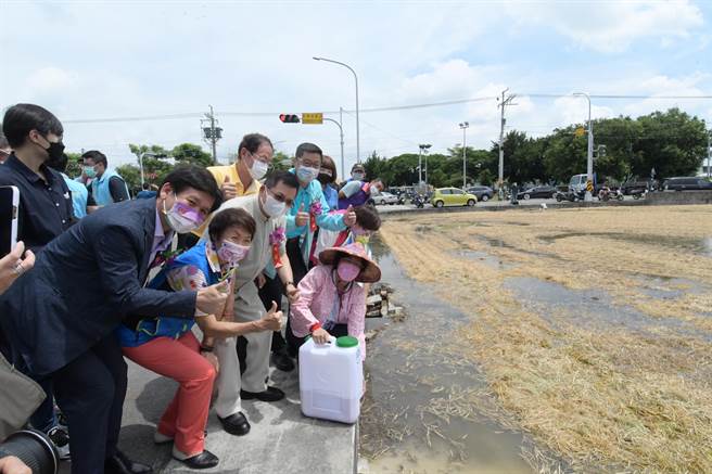 16日县长王惠美现身农田，亲自示范稻草腐化菌使用方式，希望让农友更了解稻草腐化菌的使用方式与好处。(县府提供／吴建辉彰化传真)
