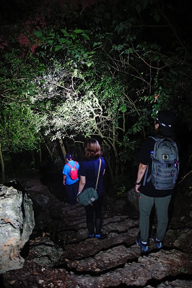 南寿山步道大多为水泥阶梯，简单好走，沿途可欣赏不同高度、角度的高雄市夜景，吸引许多民眾上山赏景。(摄影/曾信耀)