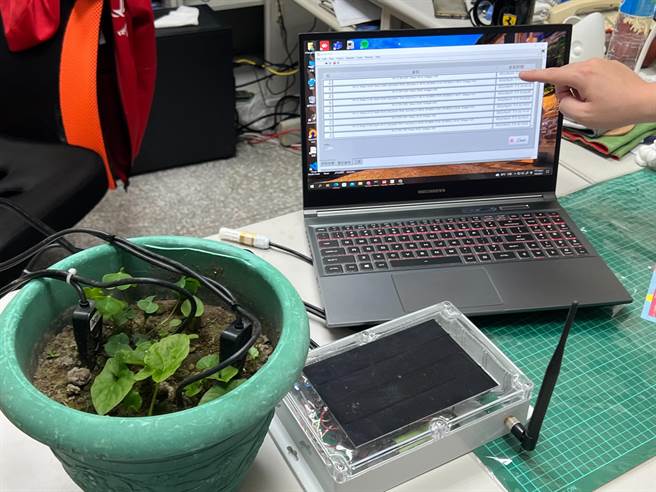 弘光科大資工系助理教授陳富國團隊， 設計研發植物成長環境監測系統。( 弘光科大提供）