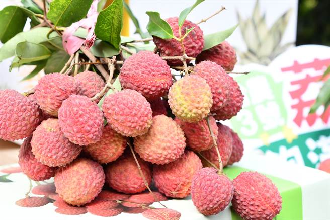 高敏敏提醒民眾，吃荔枝一次最好以5至6颗为限，以免影响健康。（吴敏菁摄）