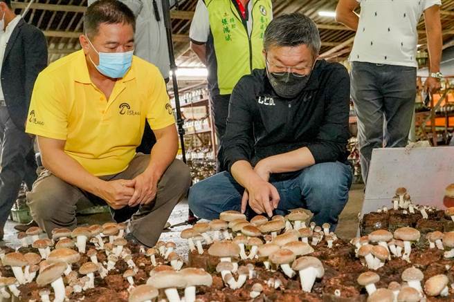 蔡其昌关心废弃太空菇包堆置情形，期盼能利用大甲溪畔高滩地提供农民暂时堆置及研议补助菇农处理费用的可行性。（陈淑娥摄）