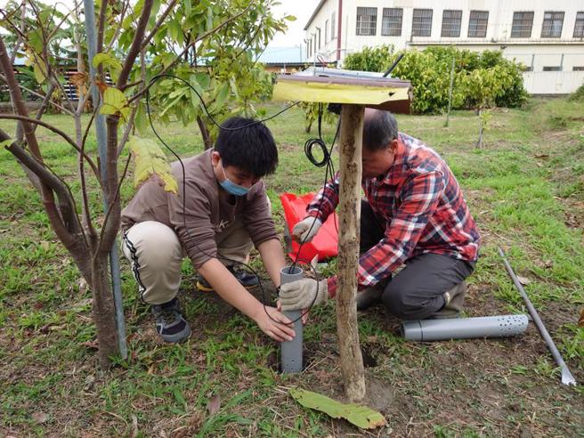  弘光科技大學智慧科技應用系師生研發智慧無線低功耗可可植物成長環境監測系統，參與團隊研究的工程師張承鈞（左）協助把監測系統裝在可可園區。（圖/ 中央社）