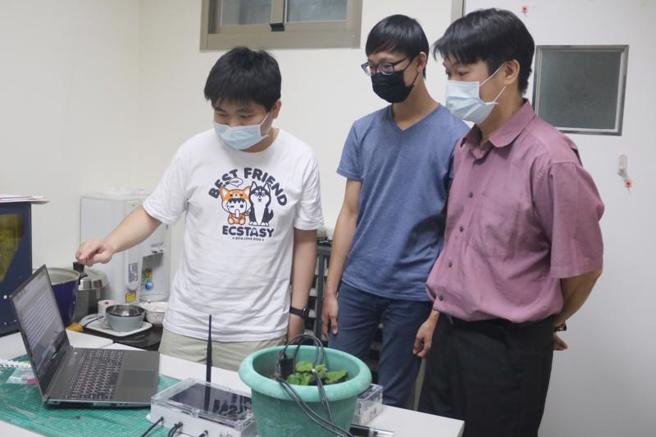  弘光科技大學智慧科技應用系專任助理教授陳富國（右），指導學生傅智城（中）與資工系校友張承鈞（左）設計研發植物成長環境監測系統。（圖/ 中央社）
