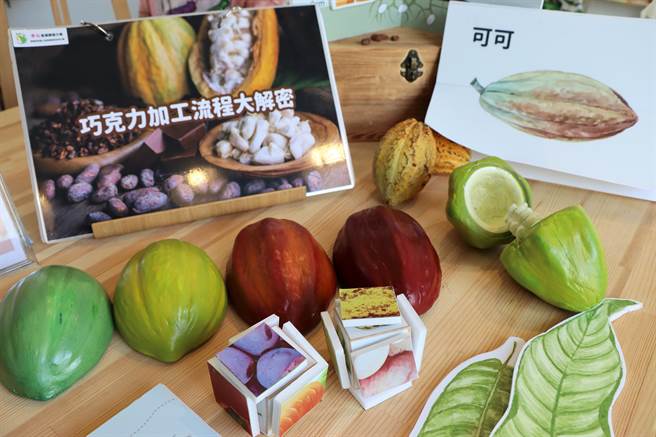 潮州热血青农改造「泗林卫生室」成屏东可可产业行销据点后，还自制教具箱发展可可食农教育，打破场域限制把可可园搬进学校。（谢佳潾摄）