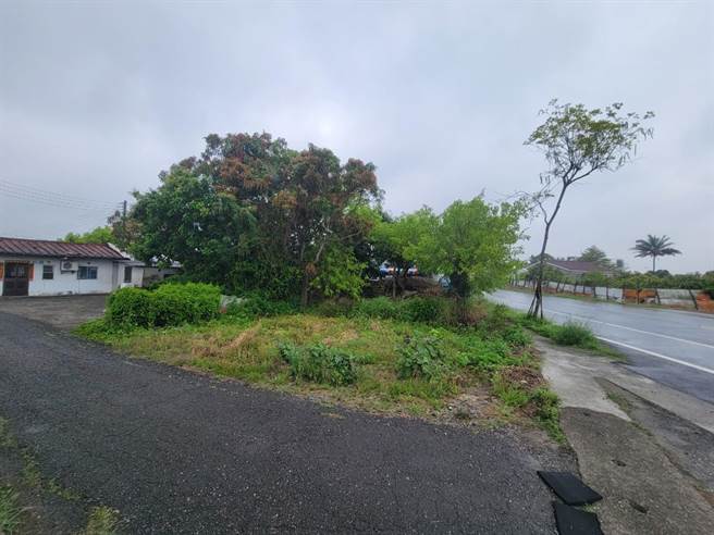 官田社区邻近西拉雅国家风景区官田游客中心的一处马路旁空地杂草灌木丛生有碍观瞻。(黄瀚纬提供／刘秀芬台南传真)