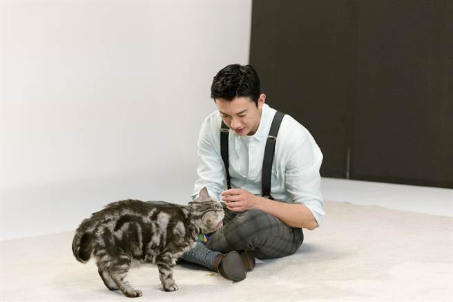 吳慷仁與貓咪培養出拍攝好默契。（木入森提供）