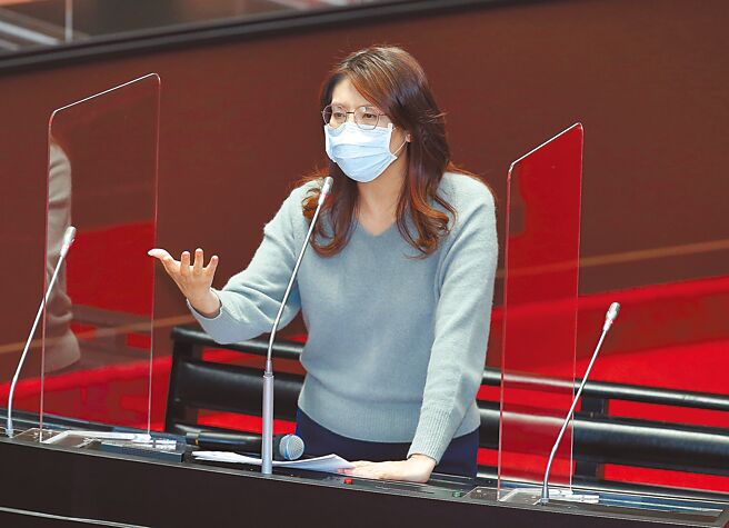 国民党立委郑丽文。（本报资料照片）