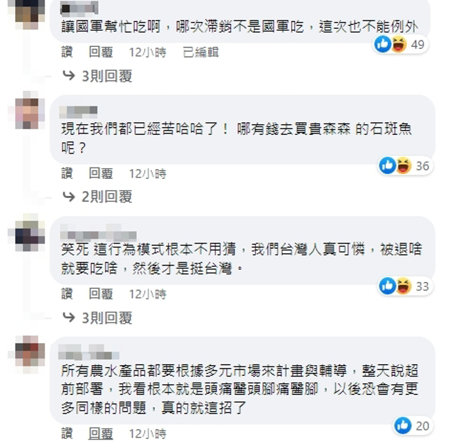 臉書網友留言。（圖／翻攝自蔡英文臉書）