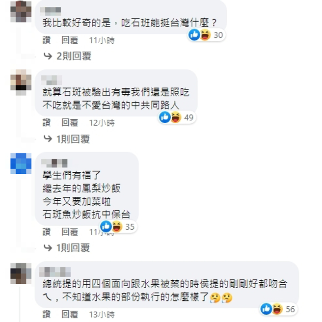 臉書網友留言。（圖／翻攝自蔡英文臉書）