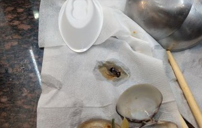 1名网友到彰化吃火锅，吃到一半发现锅内有蟑螂，询问店员该如何处理，竟遭对方呛：「不然想怎样？」（图／爆料公社二社）