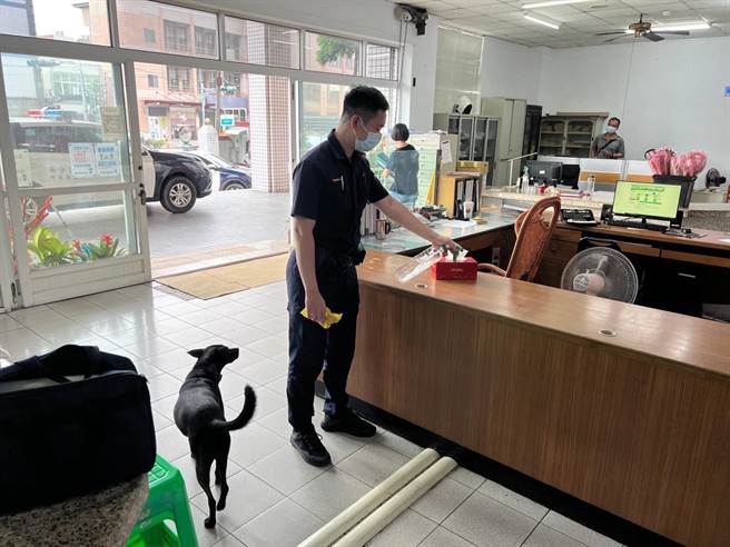 「嘿咪」目前身体状况良好，超萌模样收服员警和民眾。（翻摄照片／高雄洪靖宜传真）