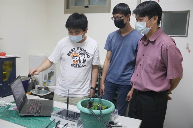 弘光科技大学智慧科技应用系师生，在科技部计画经费补助支持下，与1处可可树果园合作，在果园装设监测系统。（弘光科技大学提供／张妍溱台中传真）　