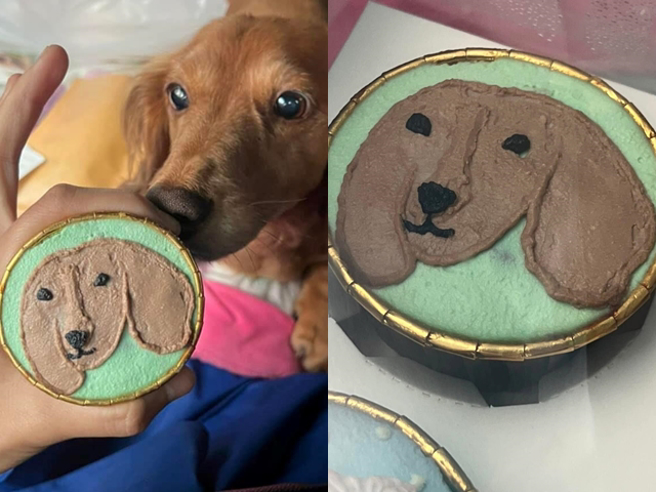 网友花1200元买客制化腊肠狗造型蛋糕，成品相当「粗糙」，连狗脸轮廓都相当潦草，他质疑店家提供的照片是立体、相当精美，但实物却是平面且简易。（翻摄自脸书「爆料公社」）