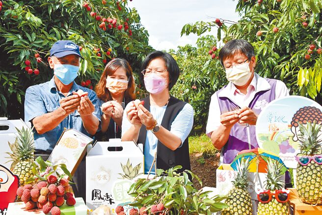 彰化縣長王惠美17日上午前往芬園鄉訪查荔枝園，驚艷玫瑰紅的獨特香氣，還示範一捏果皮就裂兩半。（吳敏菁攝）