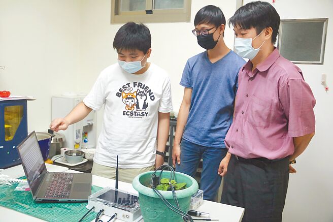 弘光科技大学智慧科技应用系师生，在科技部计画经费补助支持下，与1处可可树果园合作，在果园装设监测系统。（弘光科技大学提供／张妍溱台中传真）