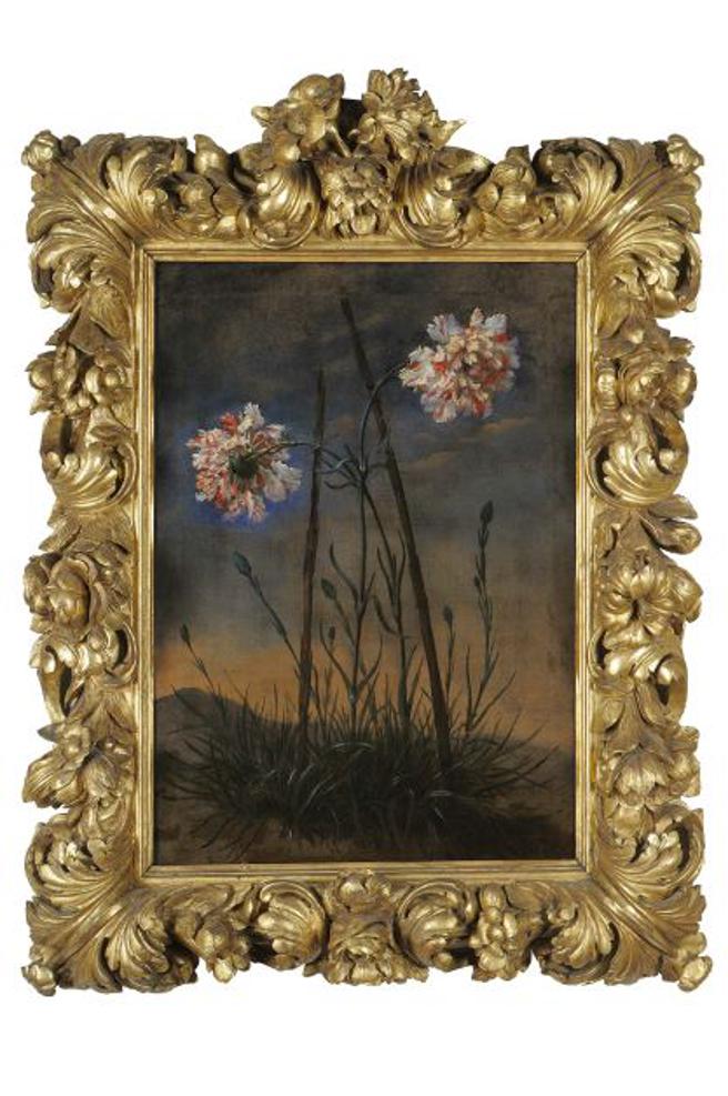 CHAUMET在巴黎高等美術學院舉辦「植藝萬千」藝術展，圖為Bartolomeo Bimbi於1699年創作的畫作Garofani giganti兩朵康乃馨。（CHAUMET提供）
