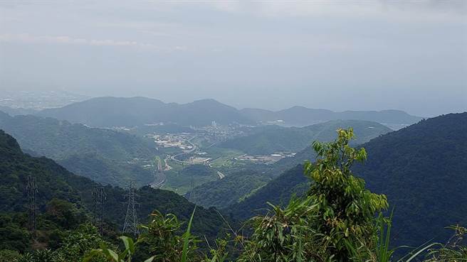 山野教育講師邱奕浩表示，雖古道較少人健行，但路徑頗明顯，不會有很多陡峭步道，僅需小小攀爬，很適合學校機構、社區做環境教育的場域，因屬中低海拔，有很多豐富生態植物，相信必能發展一個指標性地區，成為蘇澳教育休憩新亮點。（蘇澳鎮公所提供／吳佩蓉宜蘭傳真）