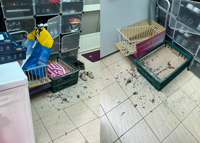 男子发现家中地板满地菸头与菸灰，屋顶採光罩也被烧出大洞，虽已报警提告，但也提醒邻居别再乱丢菸头。（翻摄自脸书爆怨公社）